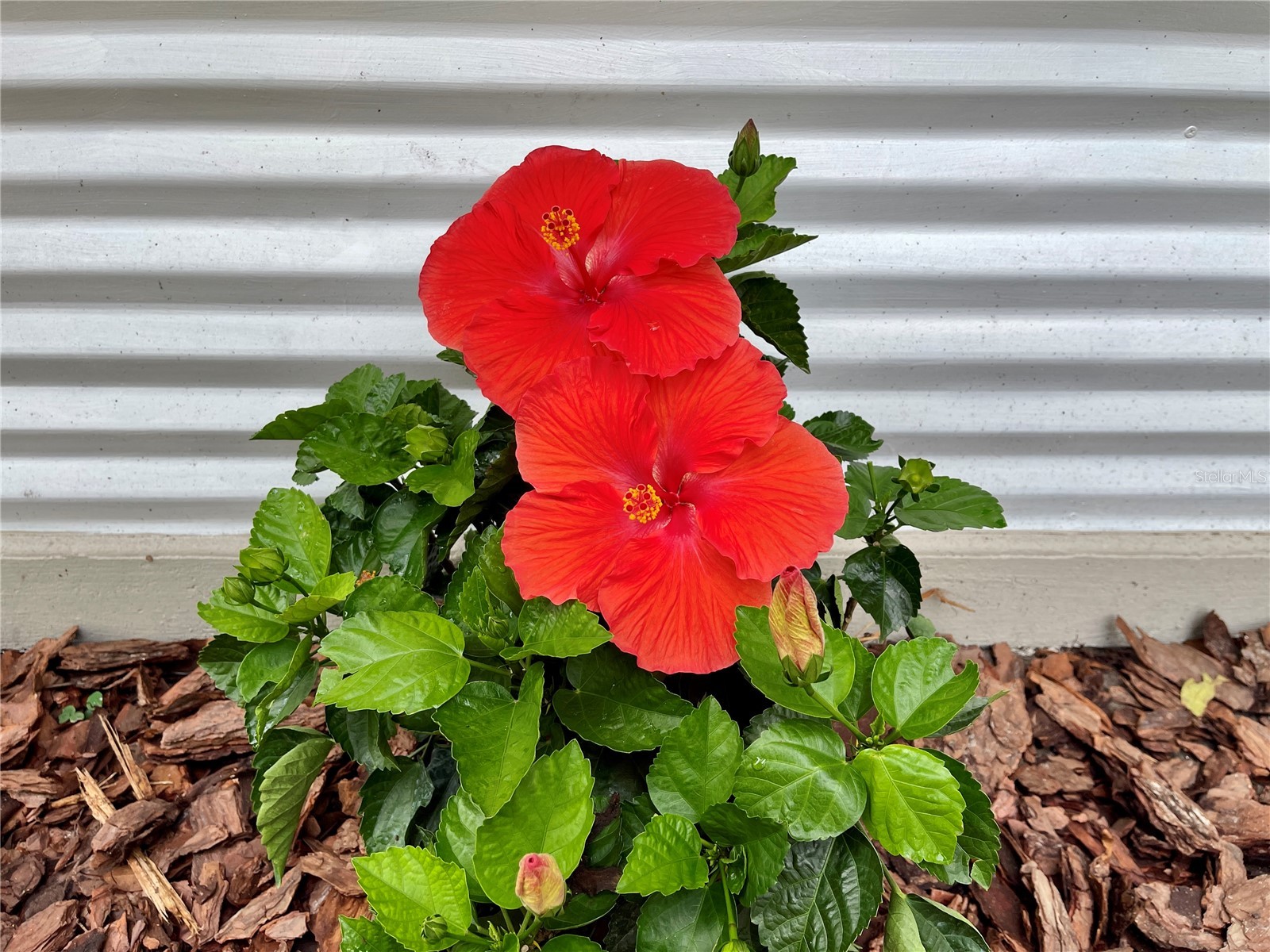 1715 NE 6th Place Gainesville FL 32641 GC536603 image27