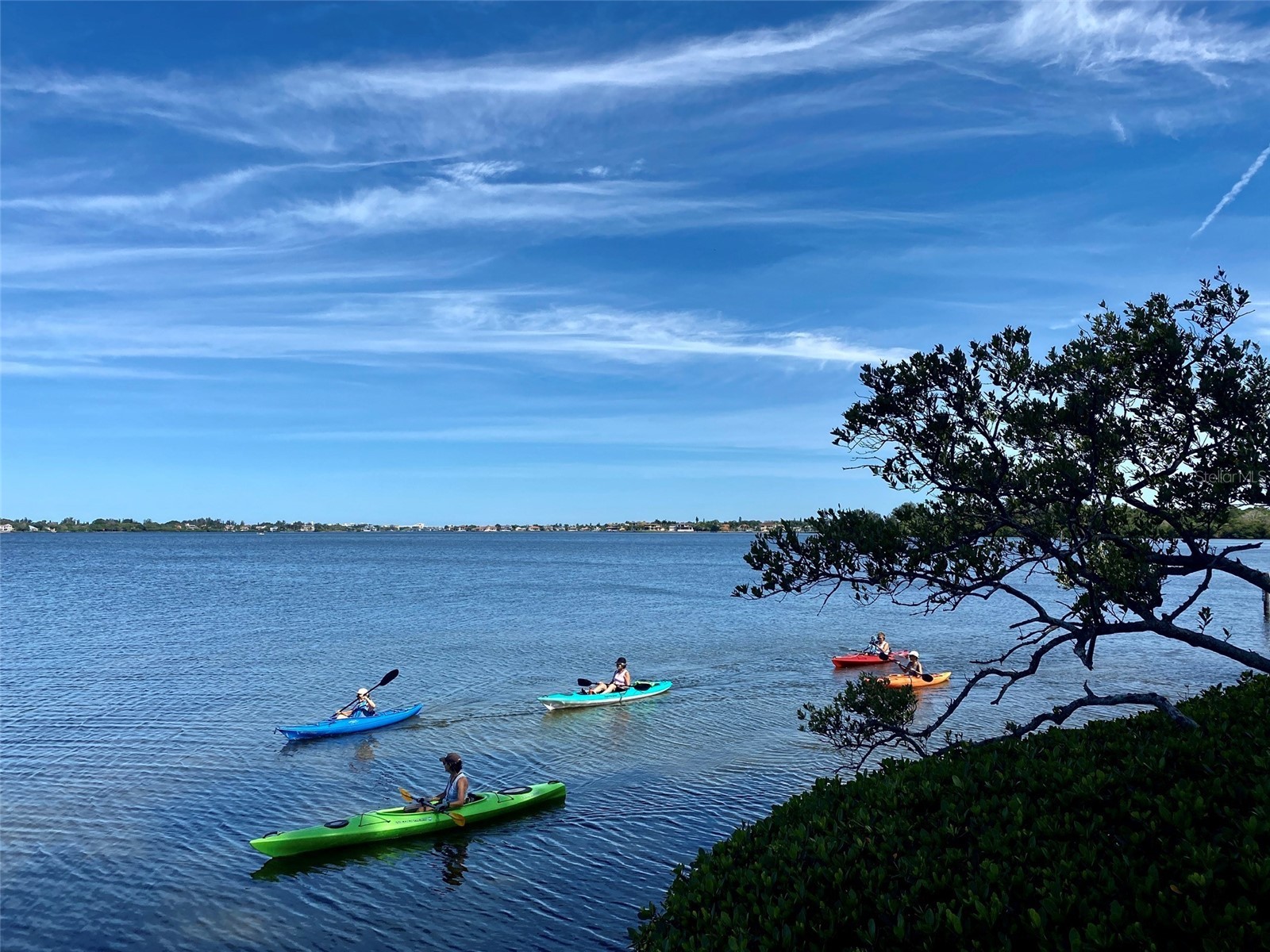 1715 Pelican Cove Road #GL438 Sarasota FL 34231 A4684687 image51