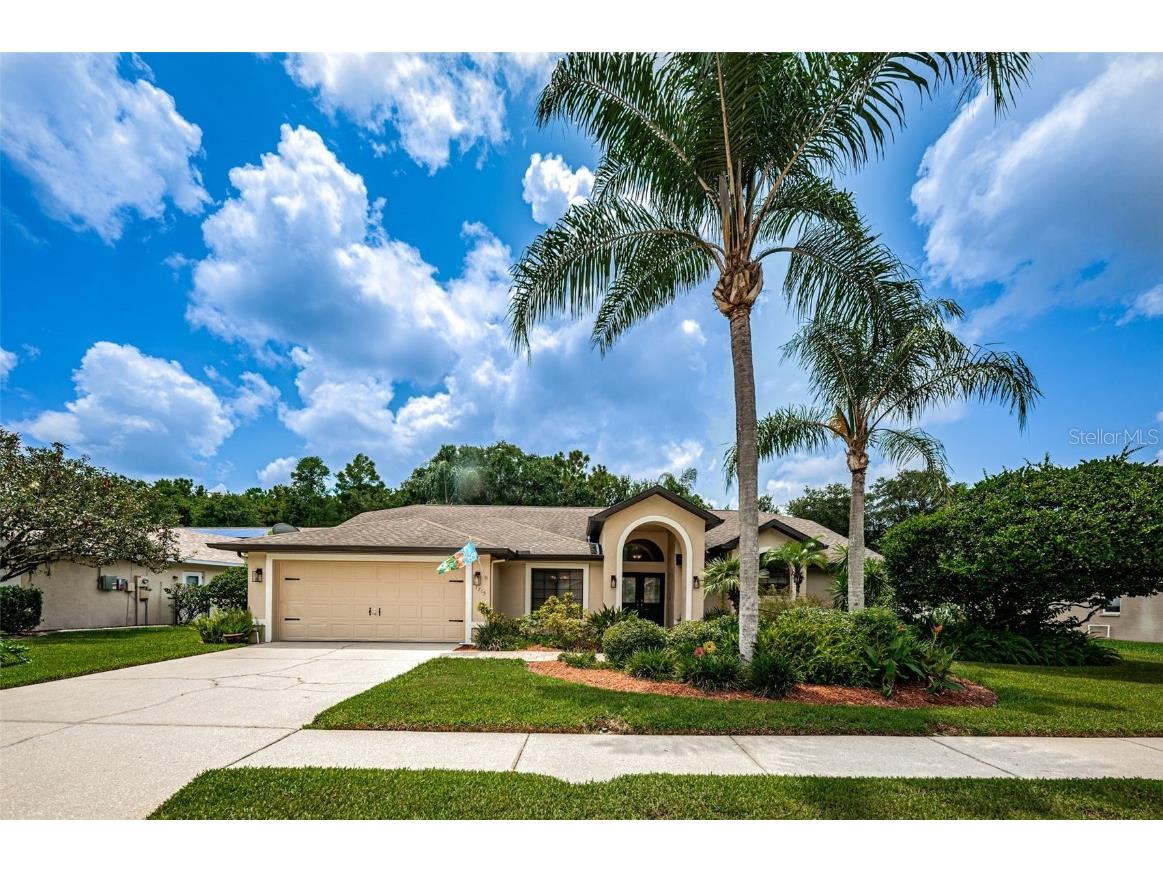 1715 Percheron Drive Trinity FL 34655 W7856501 image1