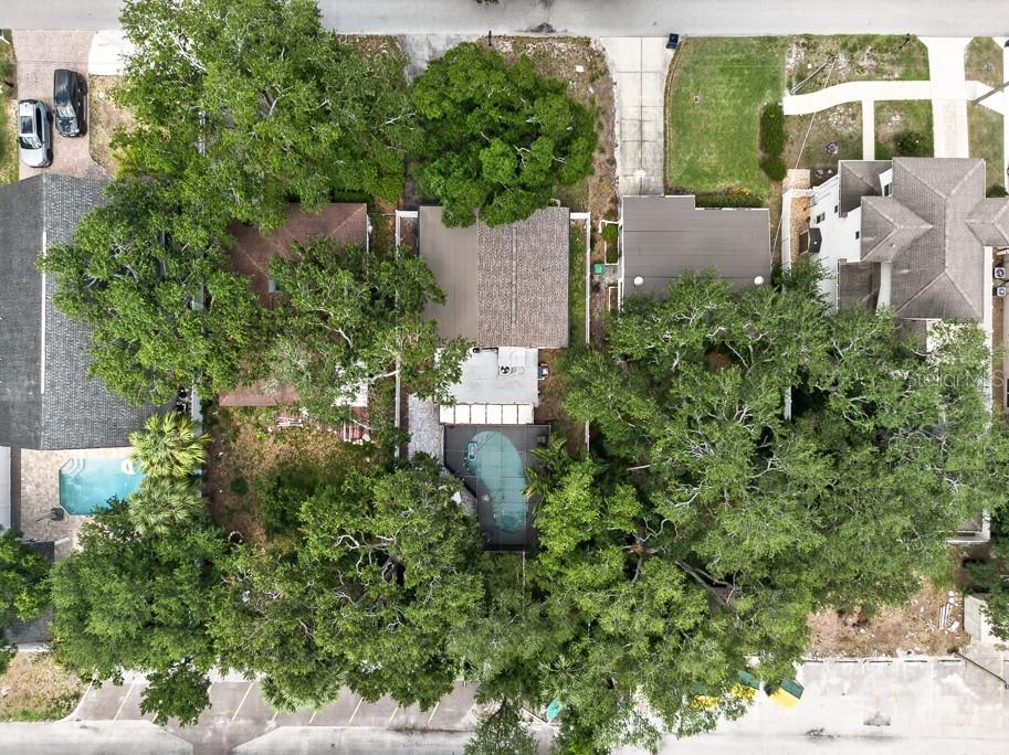1715 S Hubert Avenue Tampa FL 33629 TB8517733 image58