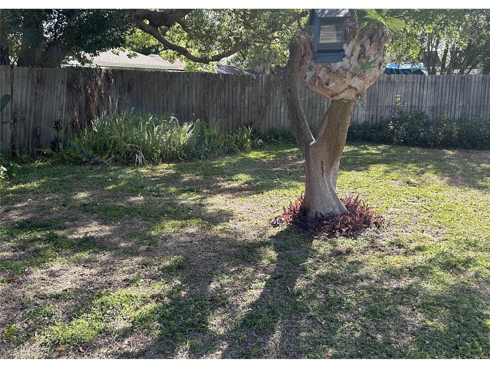1715 Sandalwood Circle SW Winter Haven FL 33880 P4938520 image3