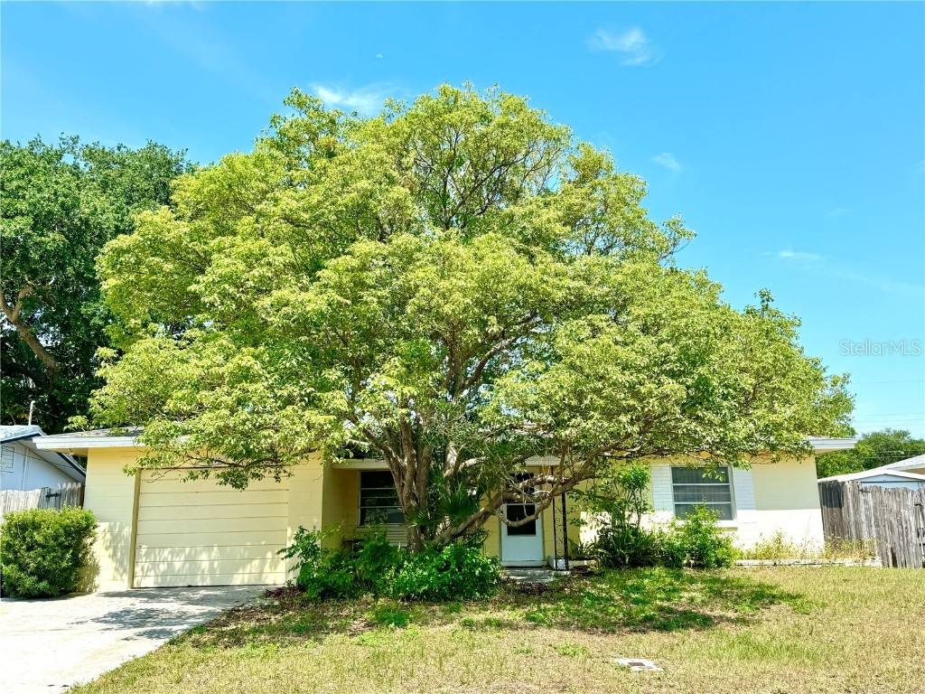 1715 Thomas Drive Clearwater FL 33759 U8244415 image1