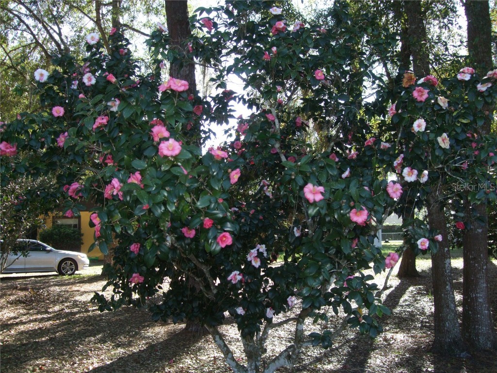 1715 W Lake Mary Boulevard Lake Mary FL 32746 O6326867 image44