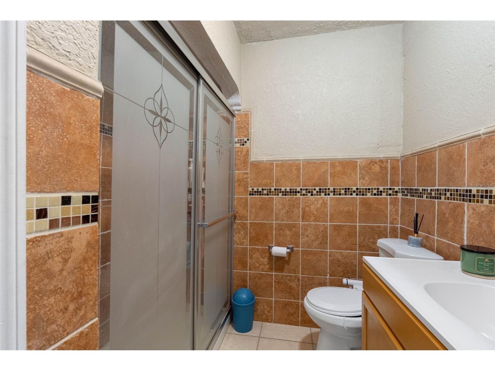 1715 W Saint John Street Tampa FL 33607 TB8428169 image33
