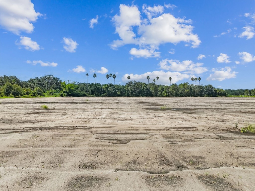 1715 W Sam Allen Road Plant City FL 33565 TB8419432 image26