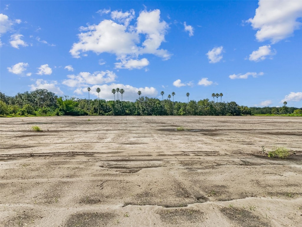 1715 W Sam Allen Road Plant City FL 33565 TB8419432 image27