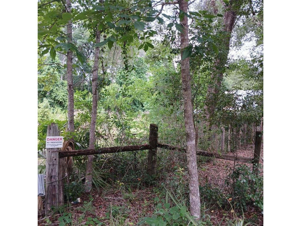 17151 NE 4th Lane Silver Springs FL 34488 OM703043 image1