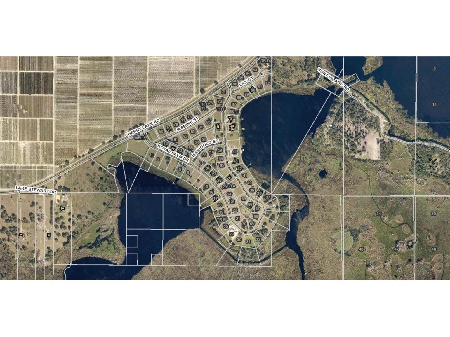 17152 Royal Palm Drive Groveland FL 34736 - LAKE HUNT O6216270 image2