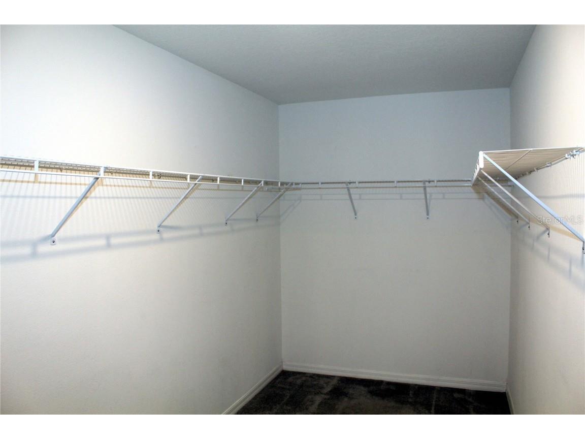 17152 Sunshine Mimosa Street Wimauma FL 33598 TB8359724 image14