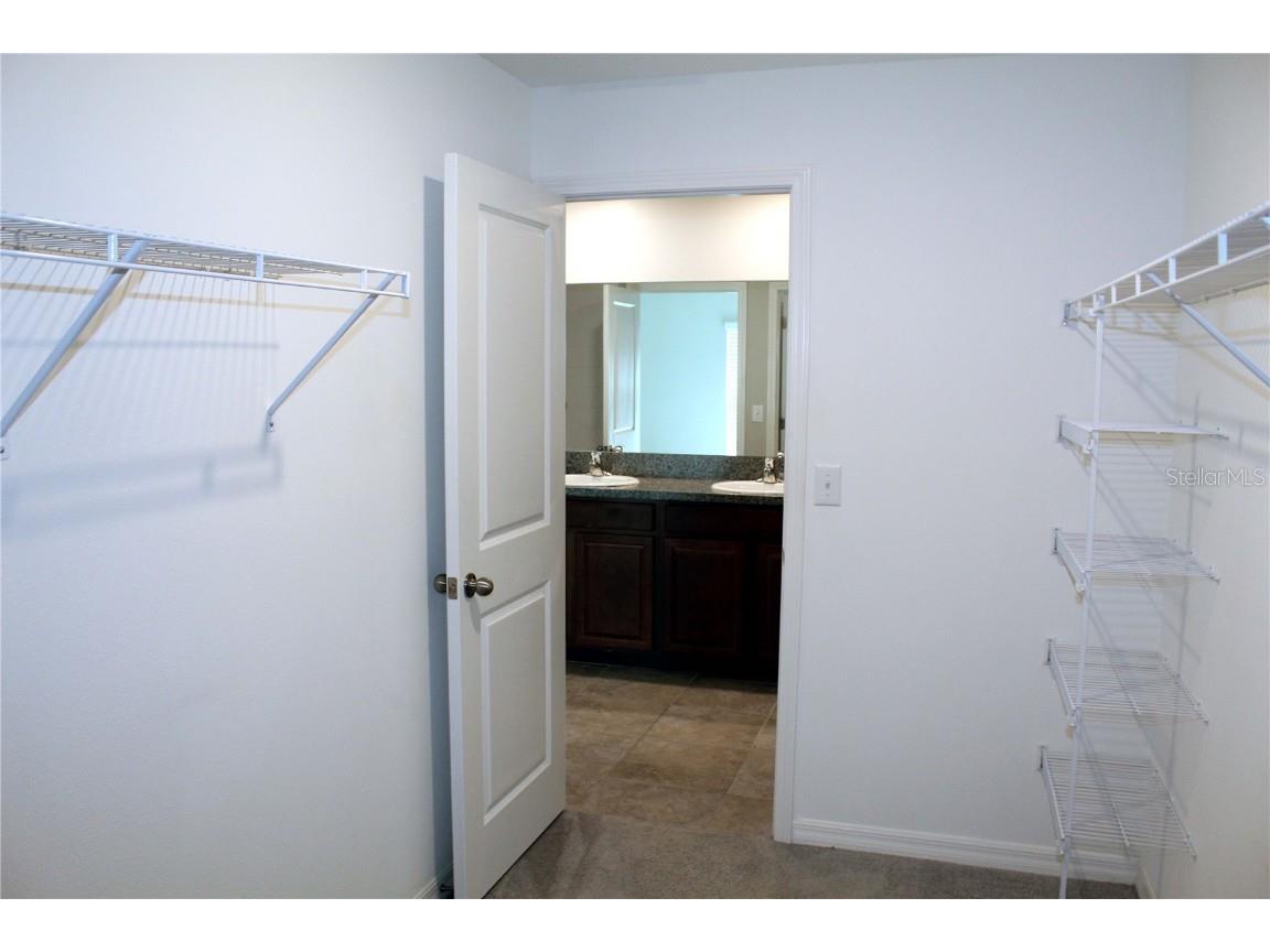 17152 Sunshine Mimosa Street Wimauma FL 33598 TB8359724 image15