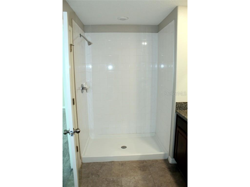 17152 Sunshine Mimosa Street Wimauma FL 33598 TB8359724 image17