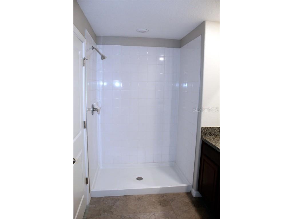 17152 Sunshine Mimosa Street Wimauma FL 33598 TB8359724 image18