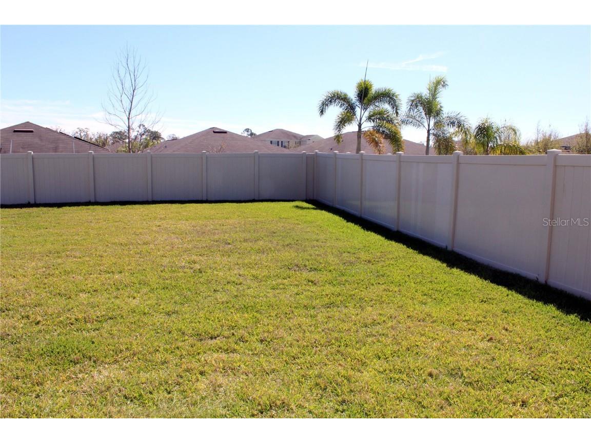 17152 Sunshine Mimosa Street Wimauma FL 33598 TB8359724 image20
