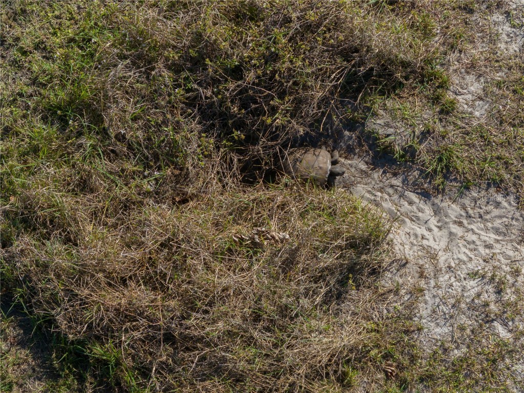 17154 Sugar Court Punta Gorda FL 33955 A4649985 image16