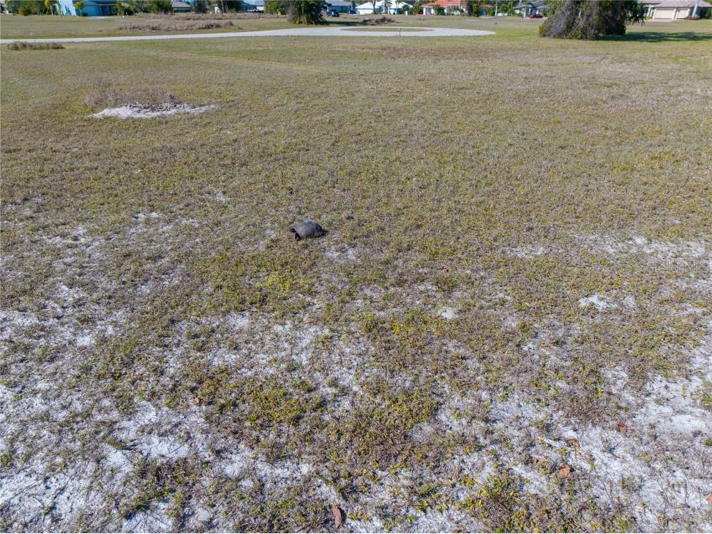 17154 Sugar Court Punta Gorda FL 33955 A4649985 image2