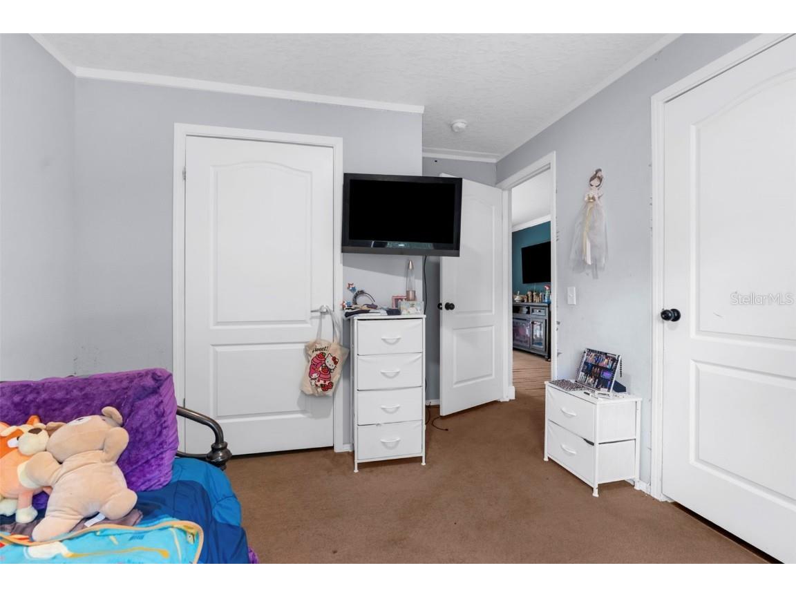 17155 Dalberg Drive Spring Hill FL 34610 TB8411439 image15