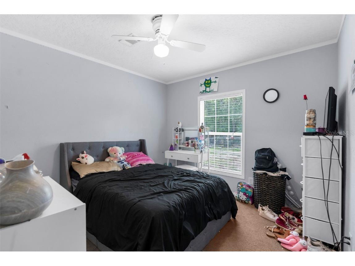 17155 Dalberg Drive Spring Hill FL 34610 TB8411439 image16