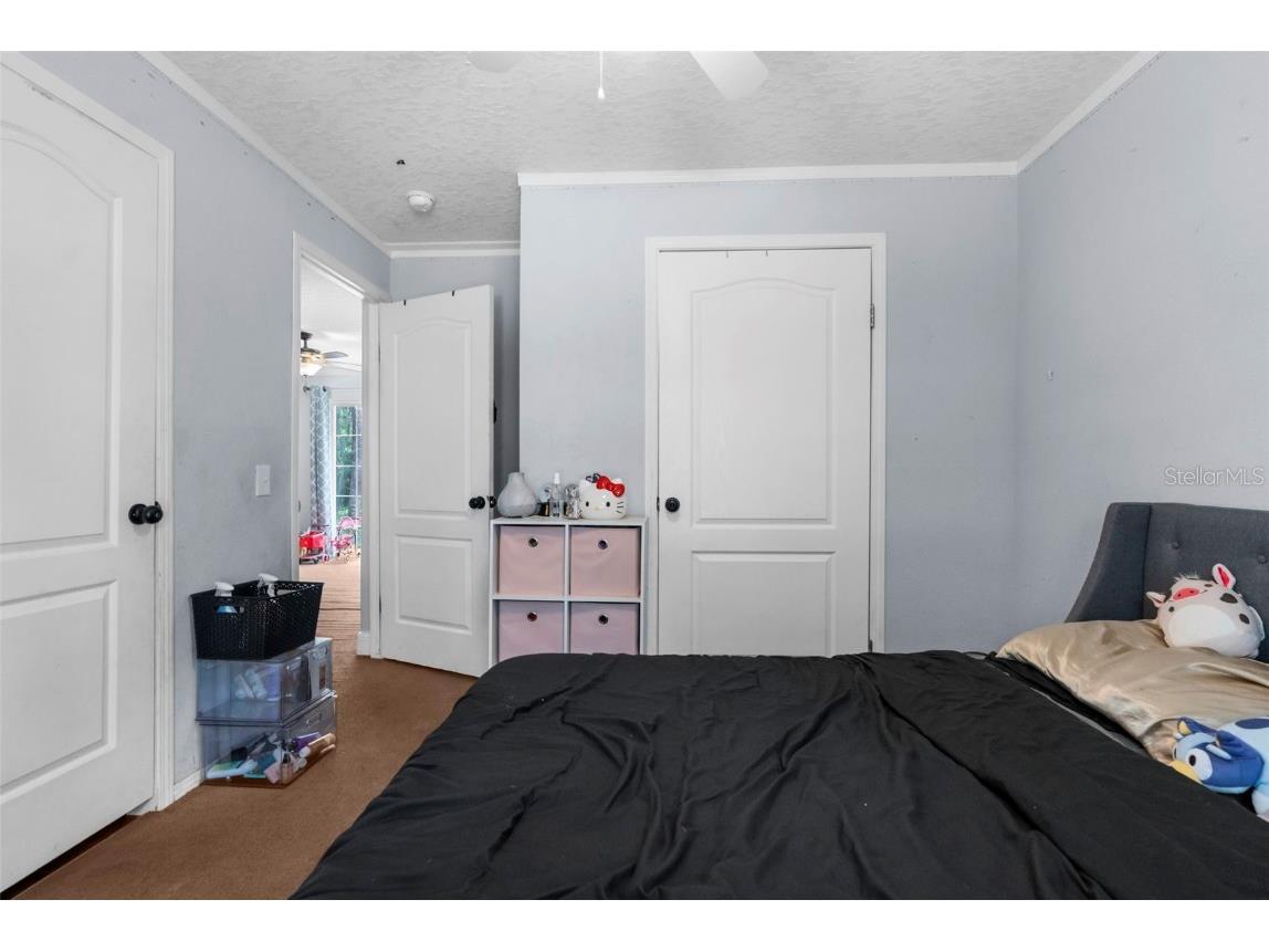 17155 Dalberg Drive Spring Hill FL 34610 TB8411439 image17