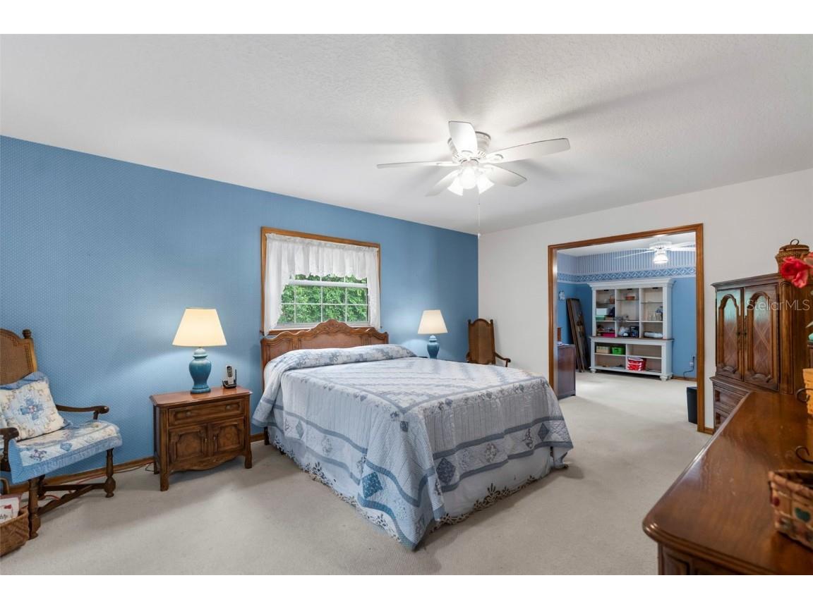 17155 Dalberg Drive Spring Hill FL 34610 TB8411439 image64