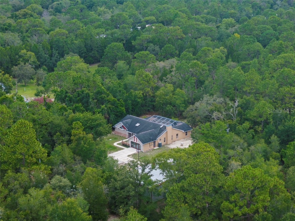 17155 Dalberg Drive Spring Hill FL 34610 TB8411439 image81