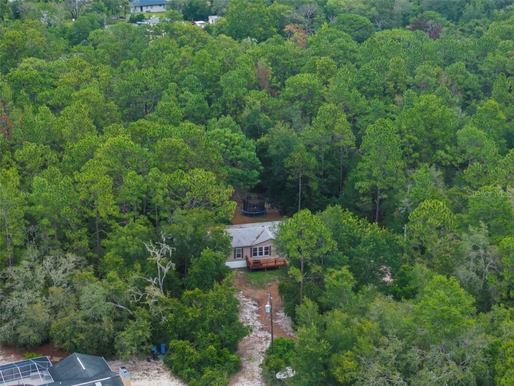 17155 Dalberg Drive Spring Hill FL 34610 TB8411439 image83