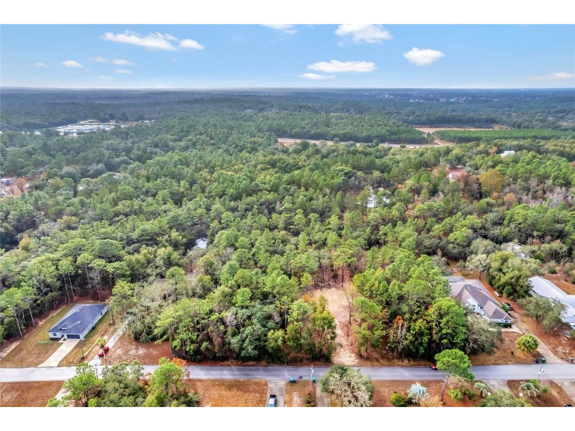 1716 E Bismark Street Hernando FL 34442 O6266594 image10