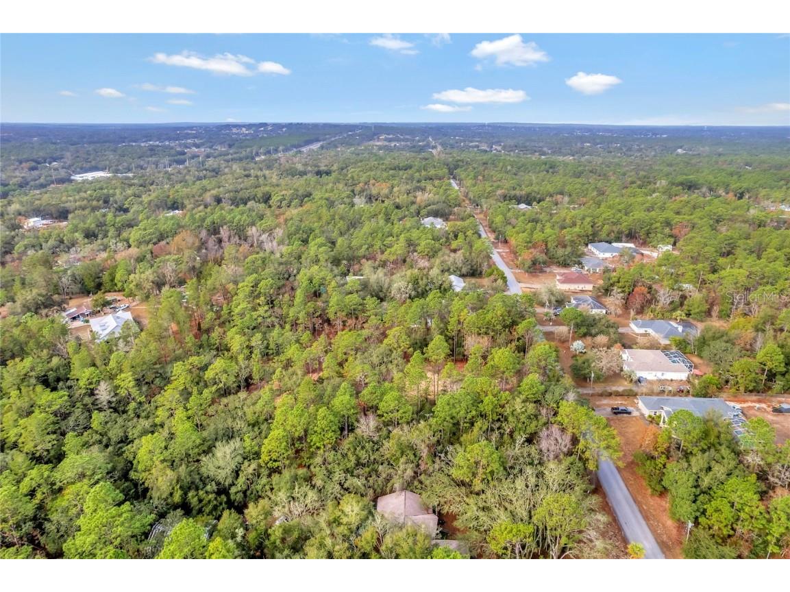 1716 E Bismark Street Hernando FL 34442 O6266594 image12