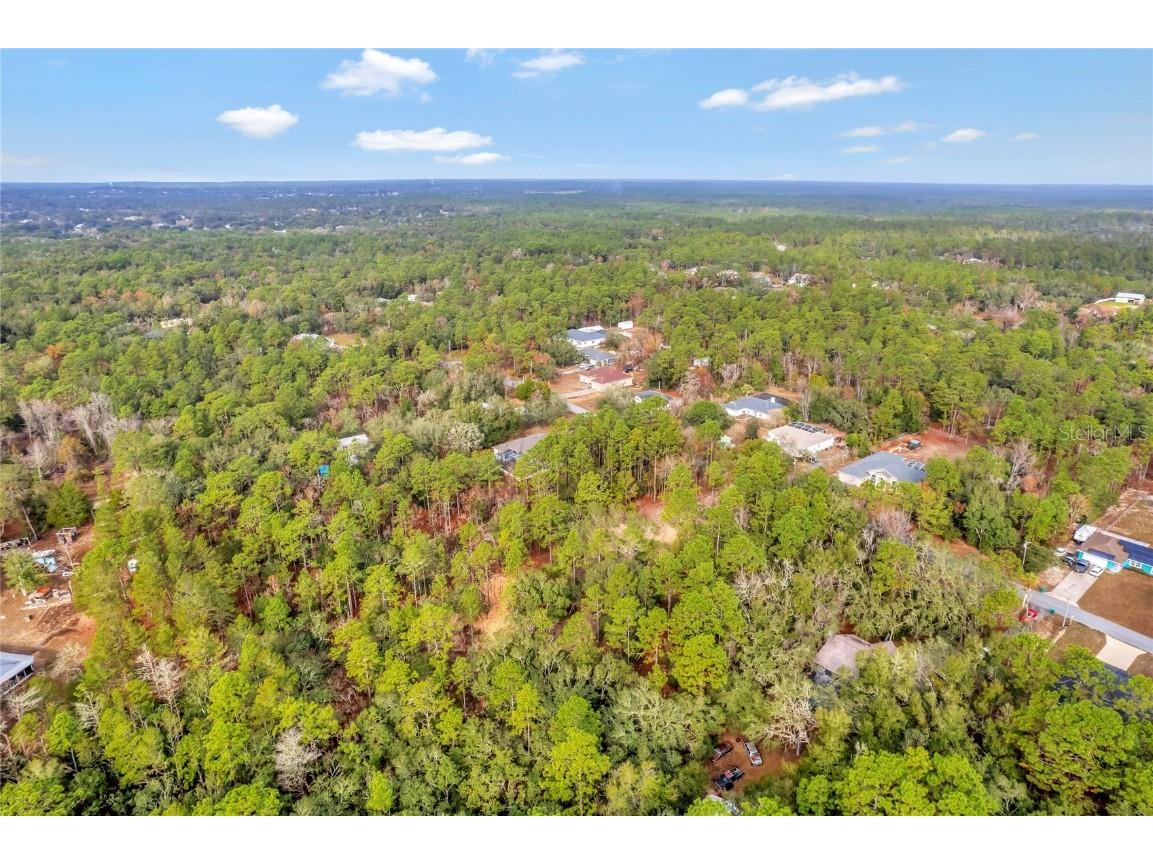 1716 E Bismark Street Hernando FL 34442 O6266594 image13