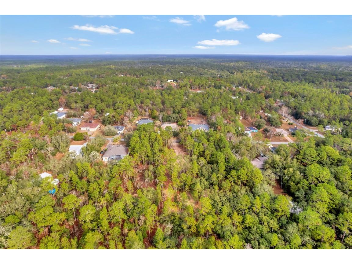 1716 E Bismark Street Hernando FL 34442 O6266594 image14