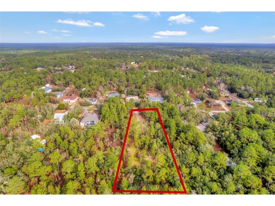 1716 E Bismark Street Hernando FL 34442 O6266594 image15