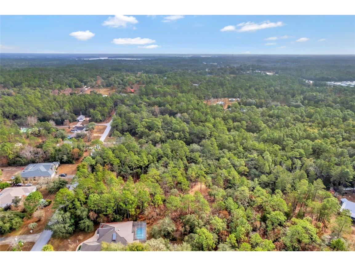 1716 E Bismark Street Hernando FL 34442 O6266594 image16