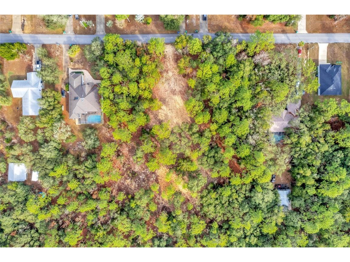 1716 E Bismark Street Hernando FL 34442 O6266594 image17