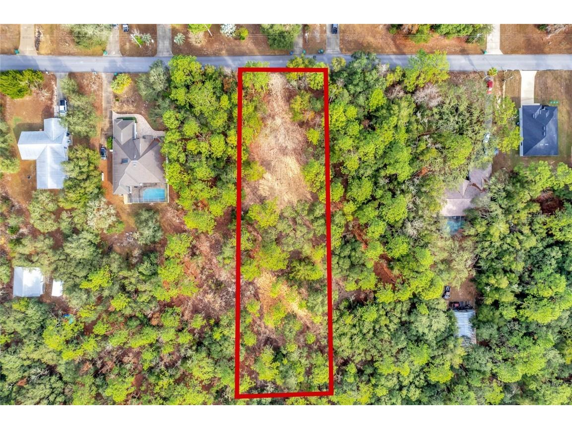 1716 E Bismark Street Hernando FL 34442 O6266594 image18