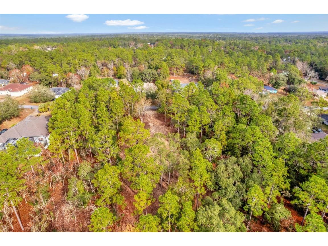 1716 E Bismark Street Hernando FL 34442 O6266594 image19