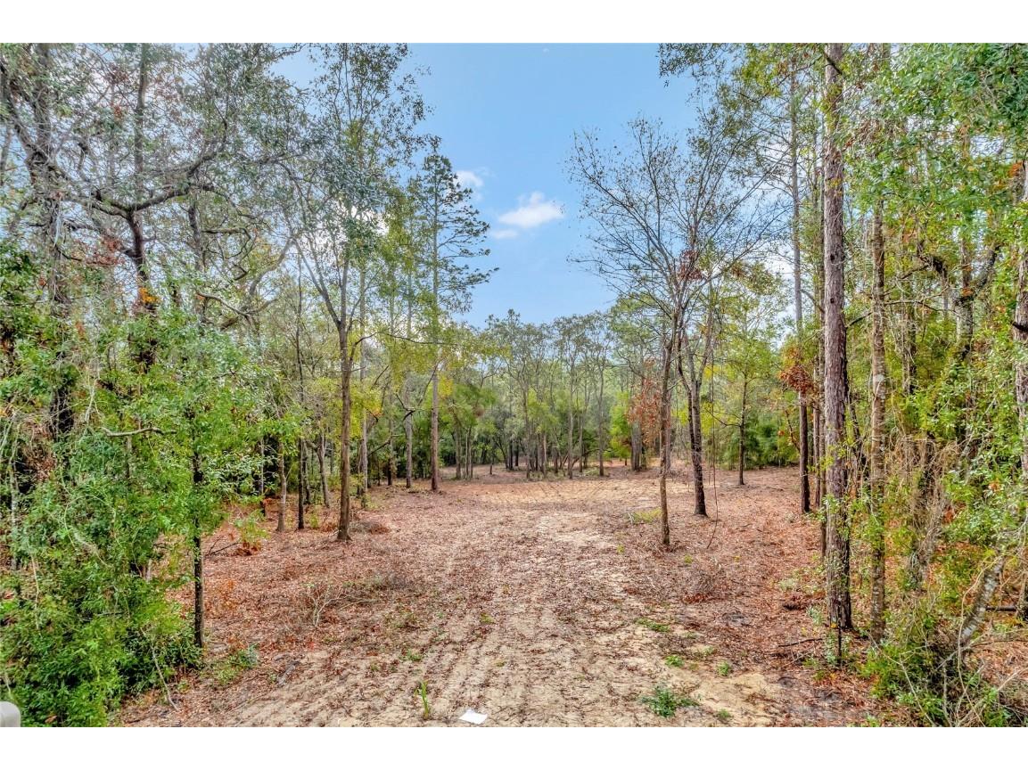 1716 E Bismark Street Hernando FL 34442 O6266594 image2