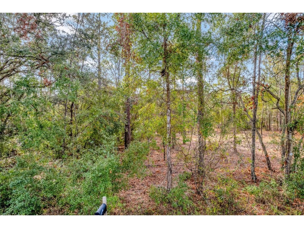 1716 E Bismark Street Hernando FL 34442 O6266594 image3