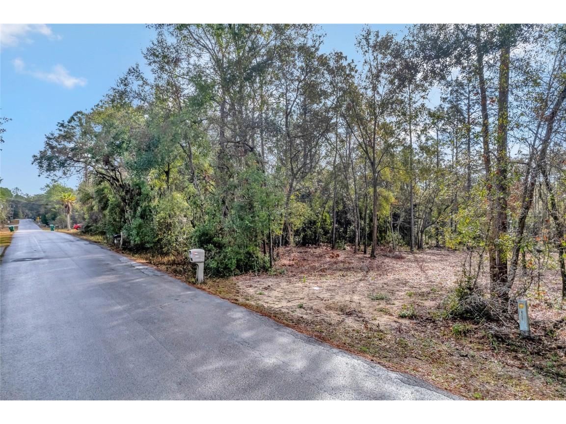 1716 E Bismark Street Hernando FL 34442 O6266594 image4