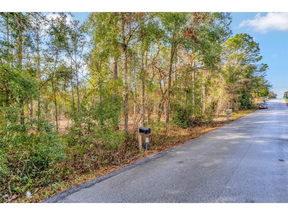 1716 E Bismark Street Hernando FL 34442 O6266594 image5