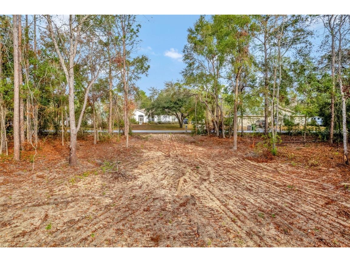 1716 E Bismark Street Hernando FL 34442 O6266594 image6