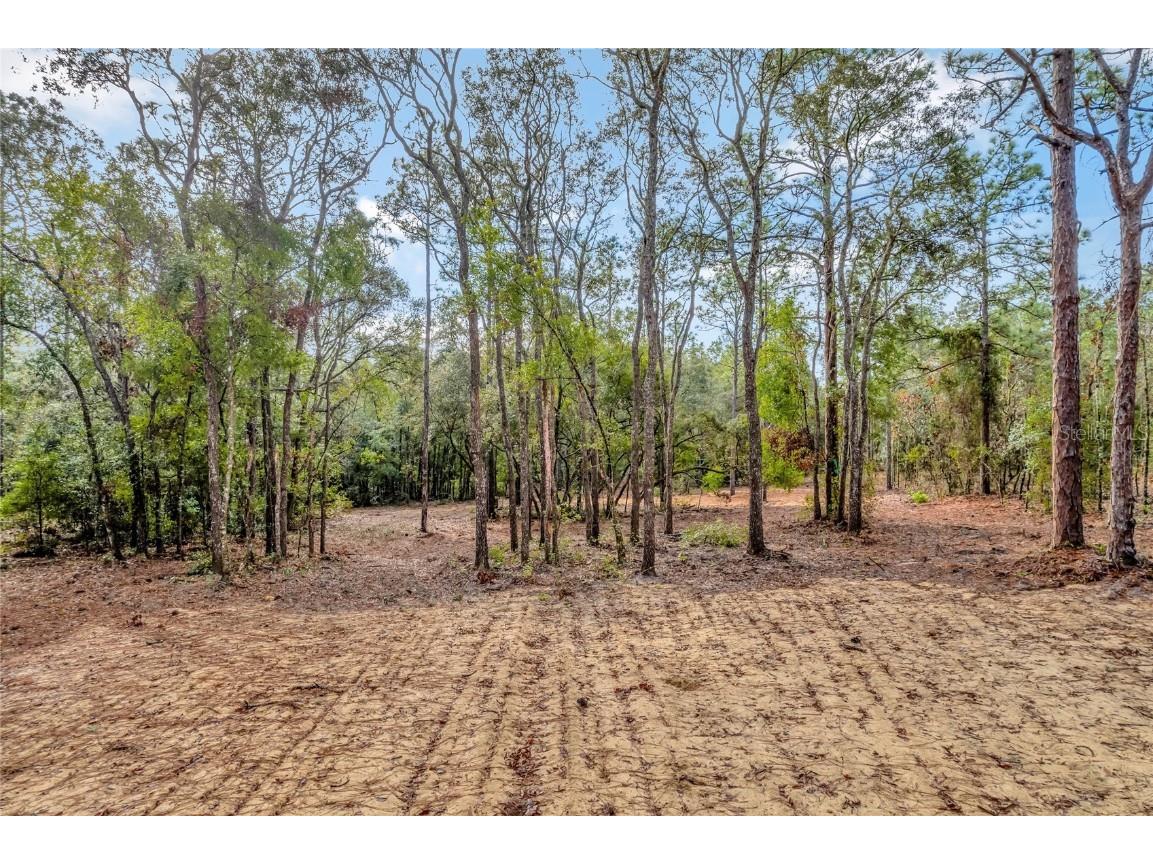 1716 E Bismark Street Hernando FL 34442 O6266594 image7