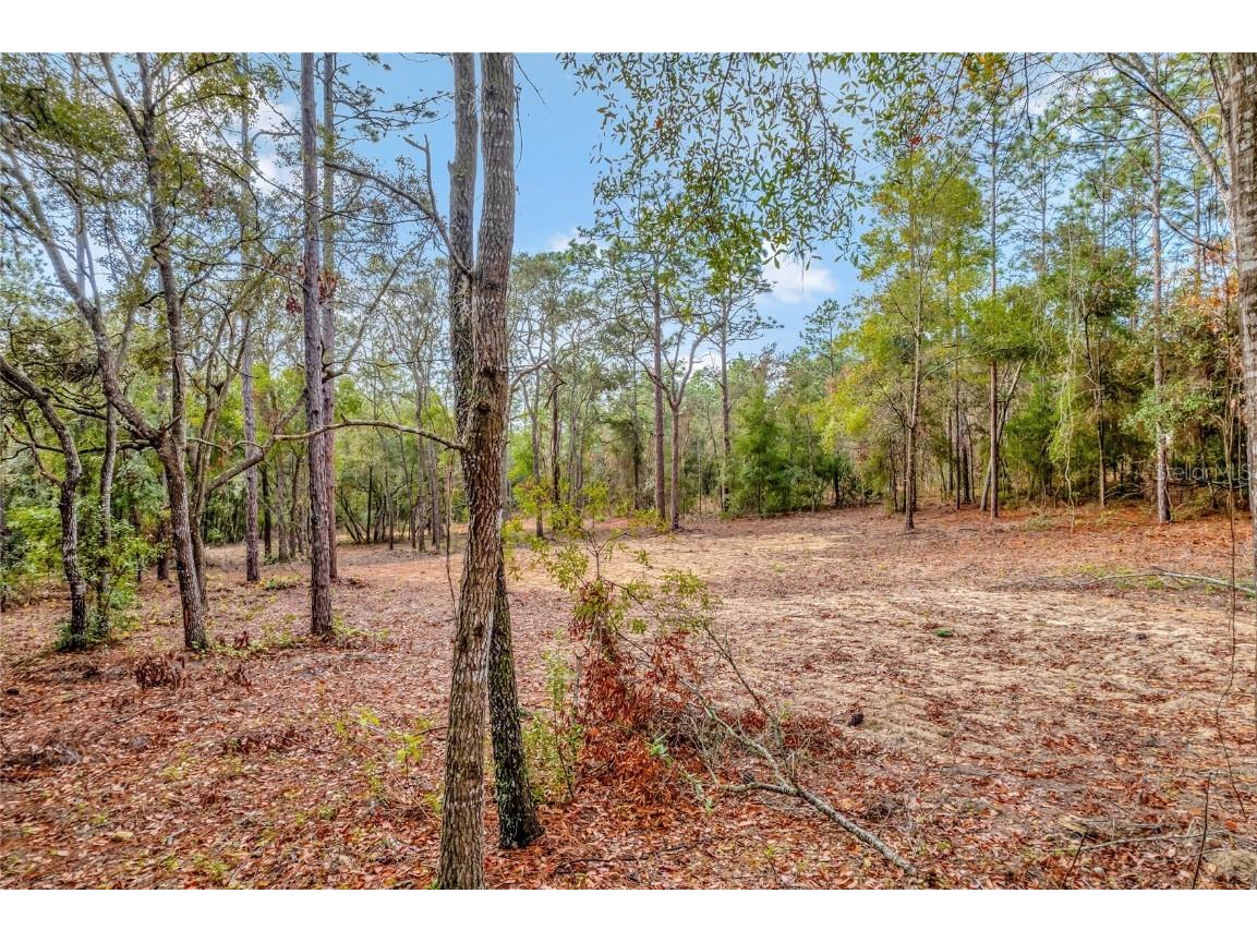 1716 E Bismark Street Hernando FL 34442 O6266594 image8