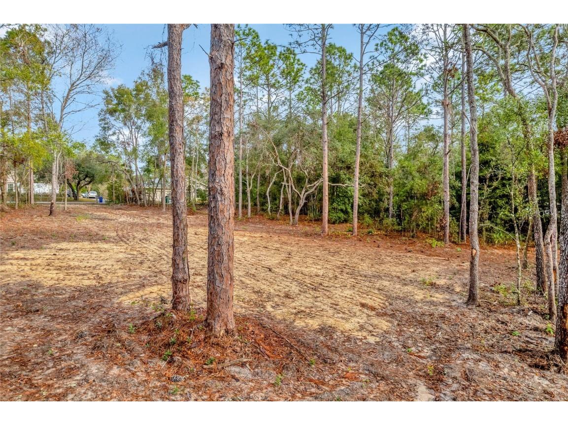 1716 E Bismark Street Hernando FL 34442 O6266594 image9