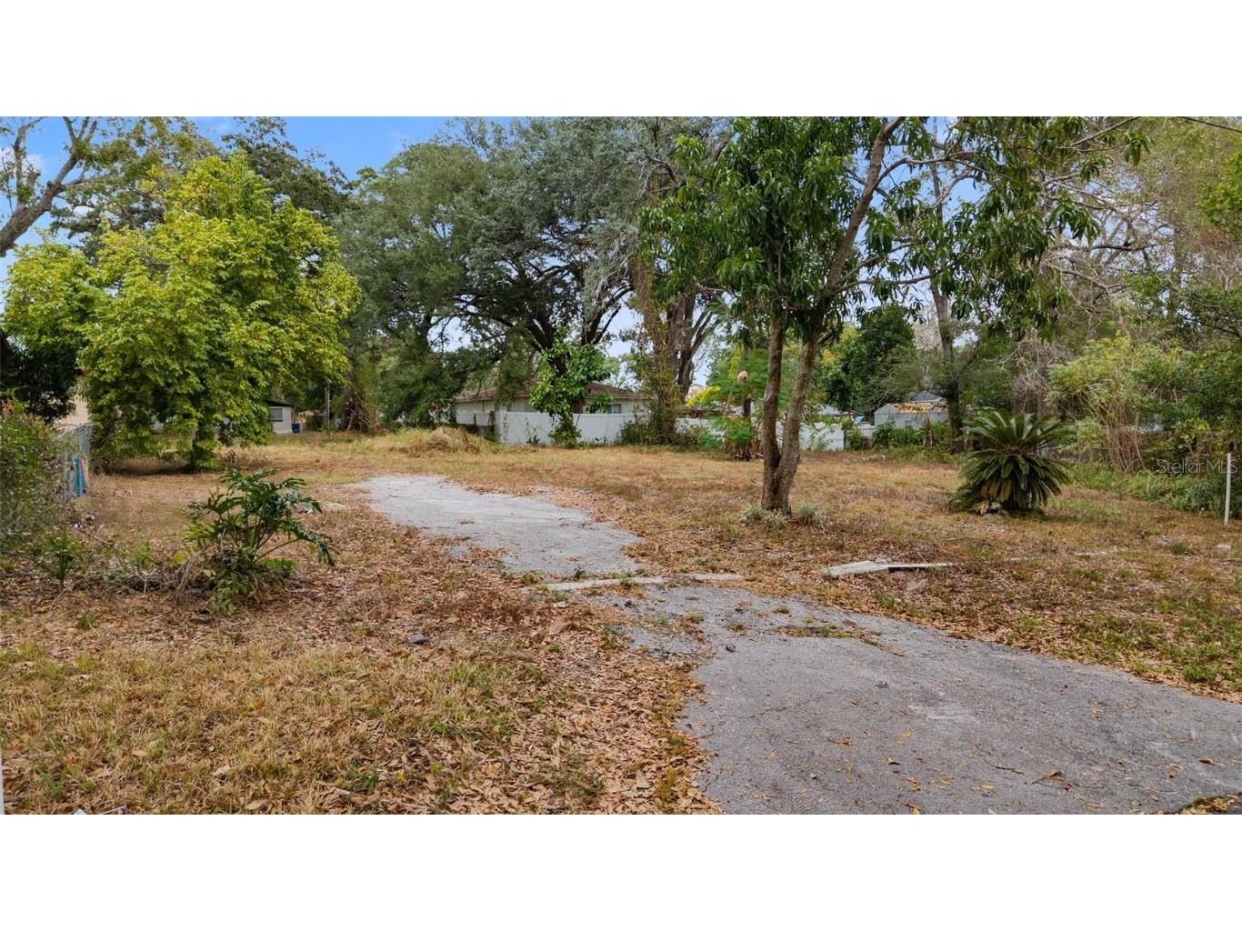 1716 E Kirby Street Tampa FL 33604 TB8453610 image13