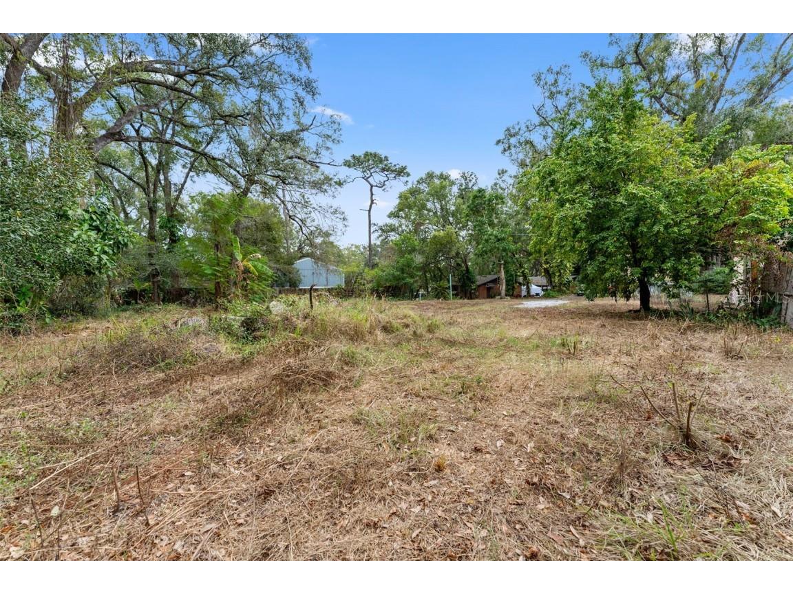 1716 E Kirby Street Tampa FL 33604 TB8453610 image4