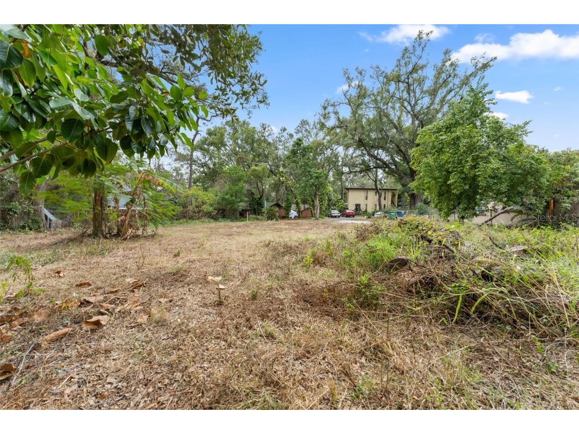 1716 E Kirby Street Tampa FL 33604 TB8453610 image5