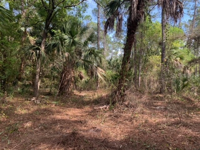 1716 Greenwood Avenue Lehigh Acres FL 33972 L4941663 image1