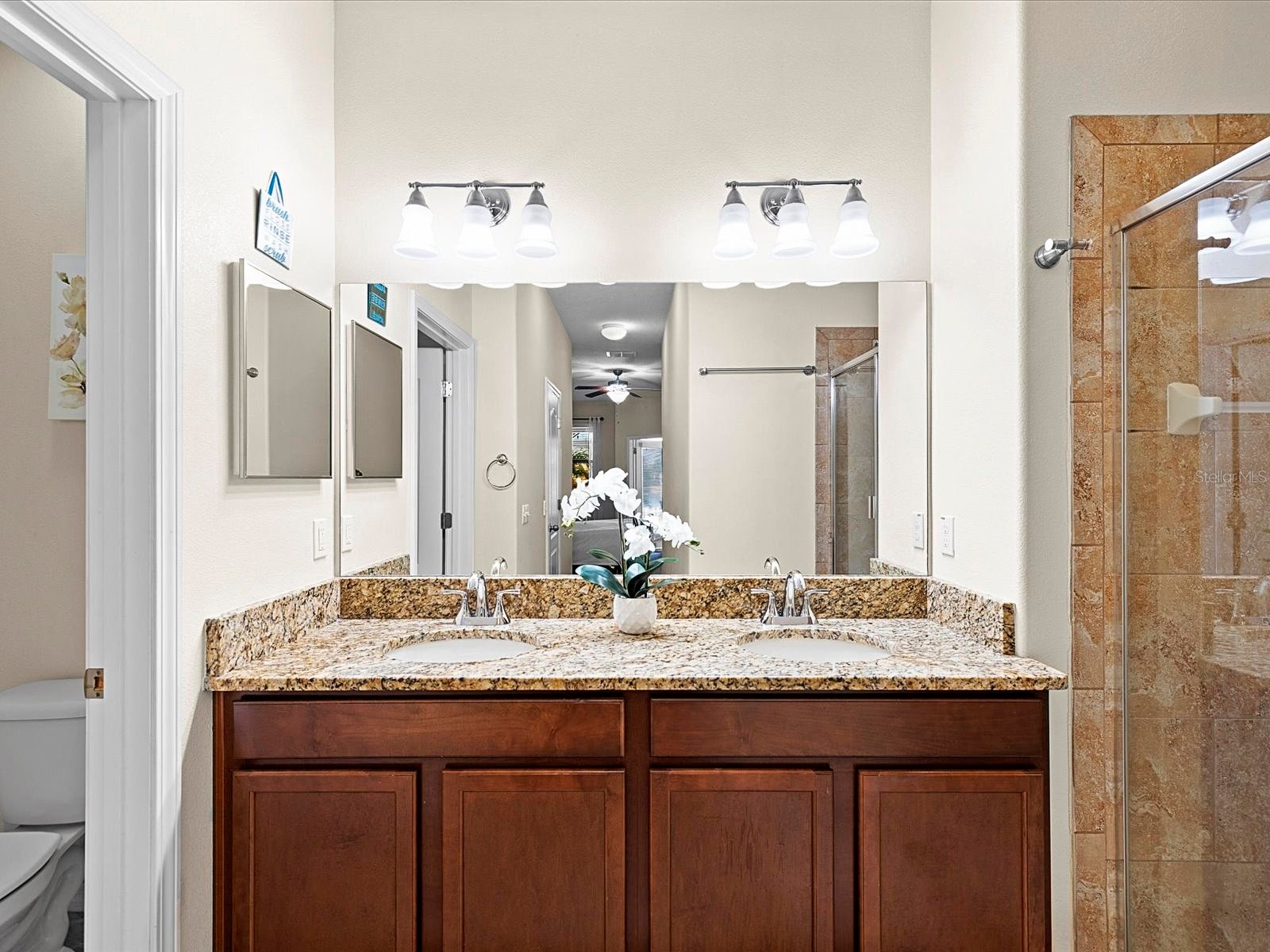 1716 Hadden Hall Place Trinity FL 34655 TB8476027 image22