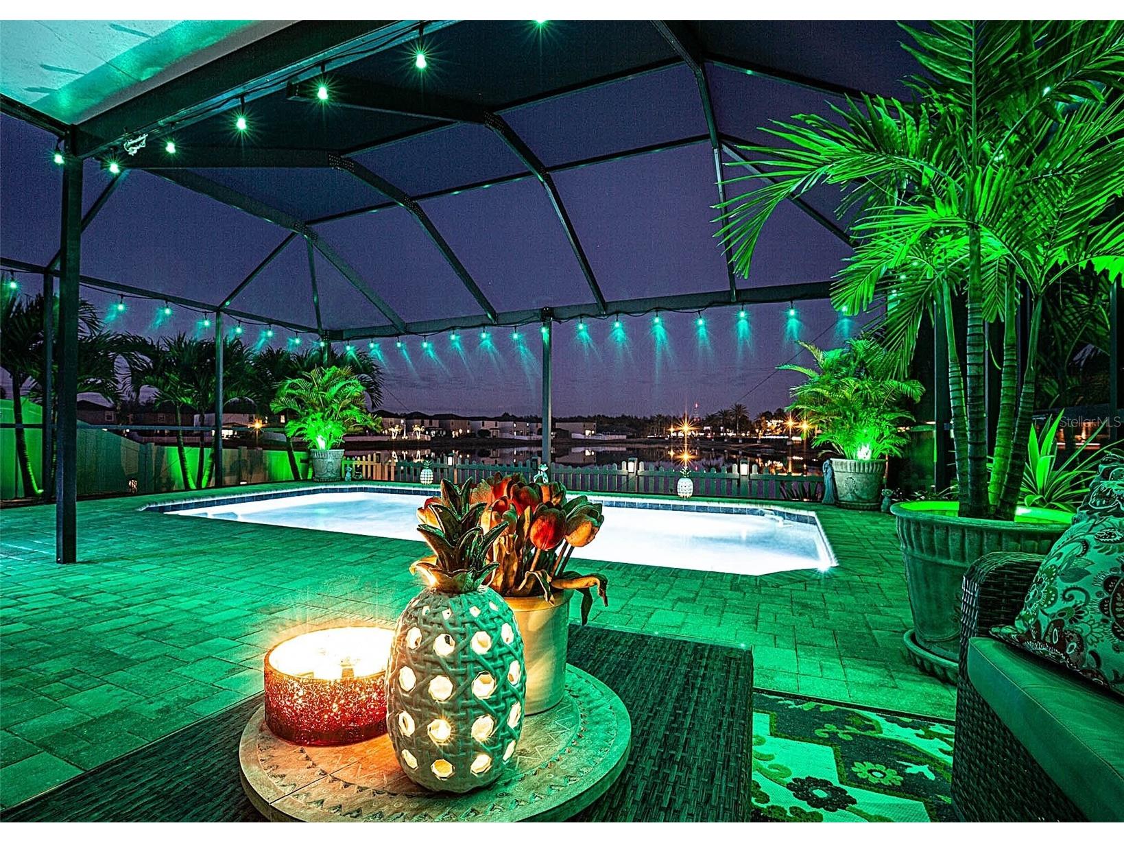 1716 Hadden Hall Place Trinity FL 34655 TB8476027 image3