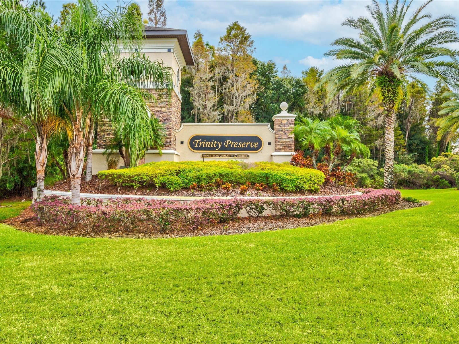 1716 Hadden Hall Place Trinity FL 34655 TB8476027 image69