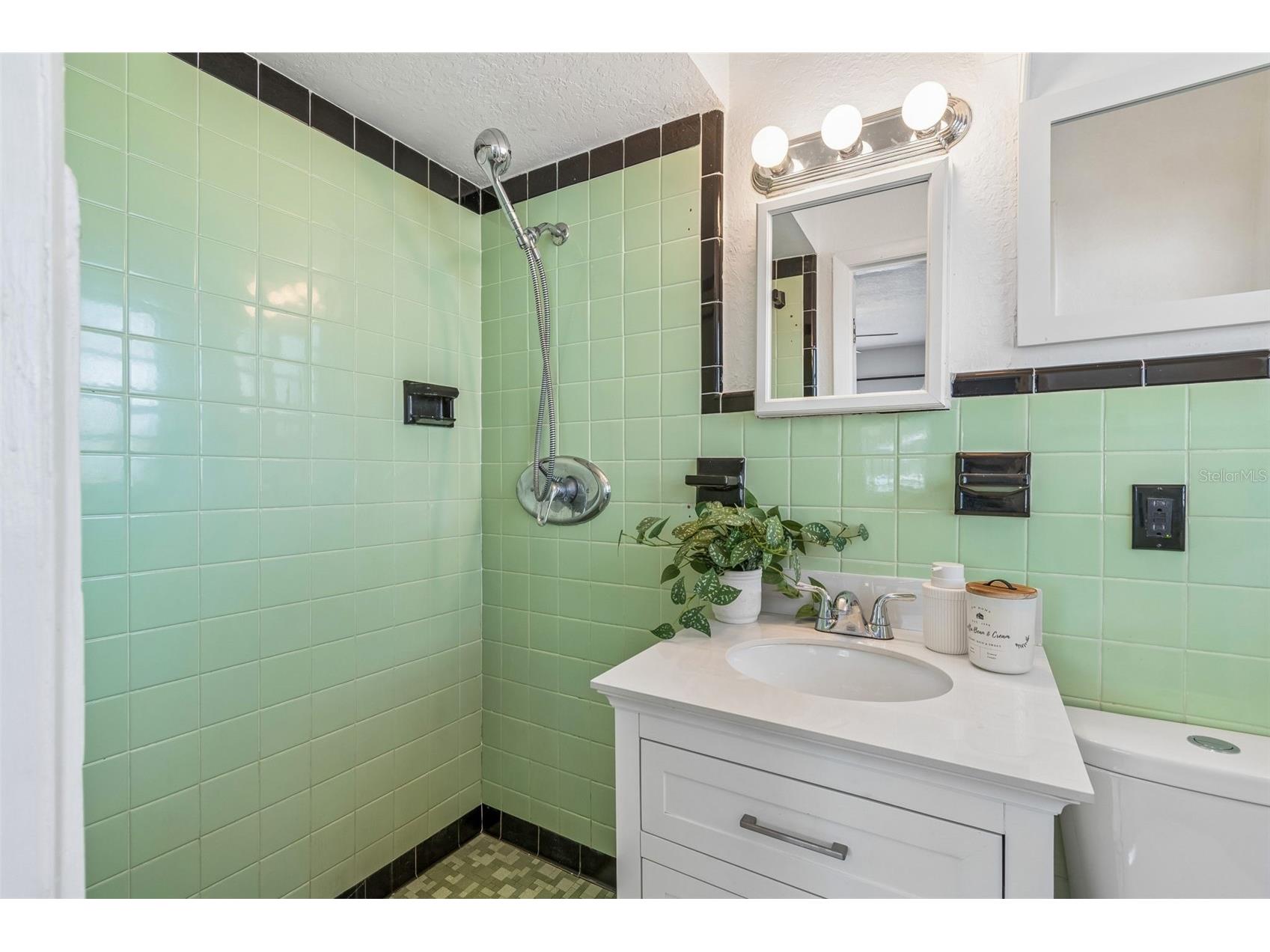 1716 Madrid Drive Largo FL 33778 TB8496975 image10